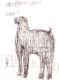 バランスの悪い犬