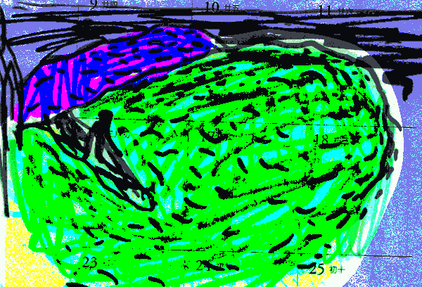 2018052901.gif